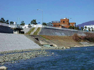 金目川へ放流