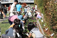 花壇づくり