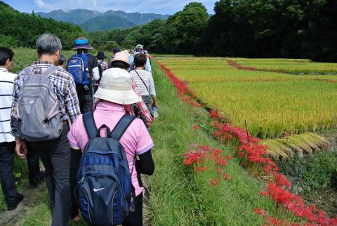 はだの里やまめぐりハイキング（上地区）