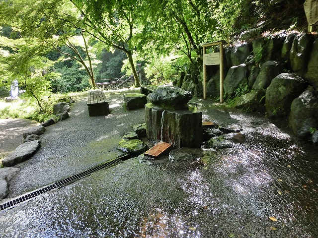 葛葉の泉