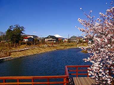 富士山と今泉湧水池