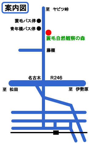 位置図画像