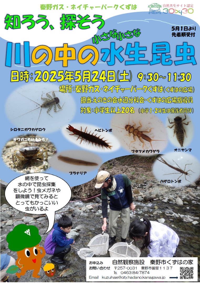 水生昆虫チラシ画像