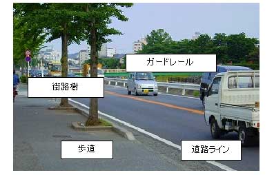 街路樹・歩道ほか