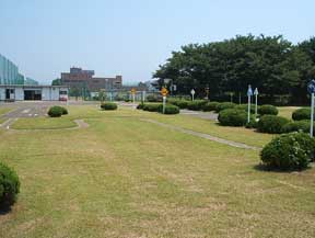 交通公園内のS字カーブ