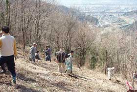 頭高山山頂周辺植樹の様子4