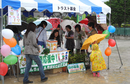 秦野市民サテライト会場の様子10