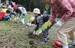 秦野市民一斉植樹大会