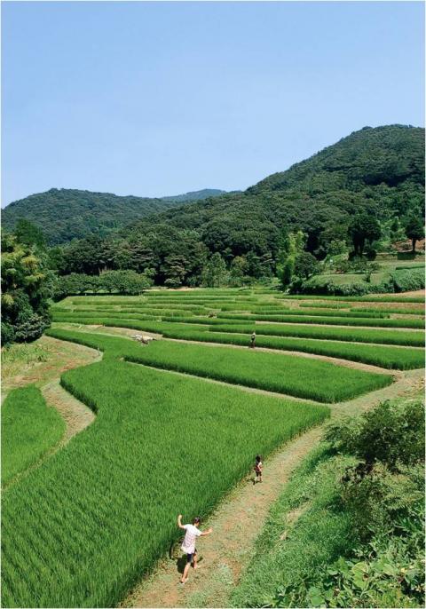 里山写真