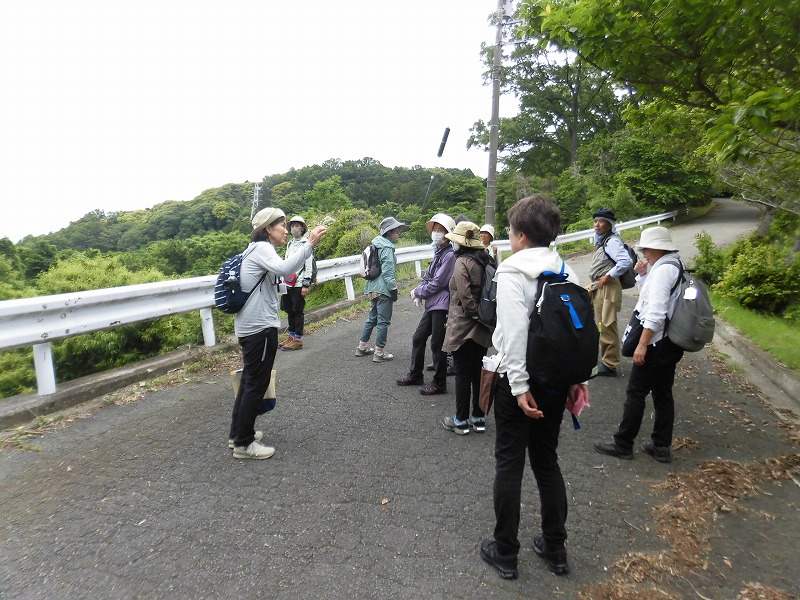 R7古道大山道を歩く（１）1