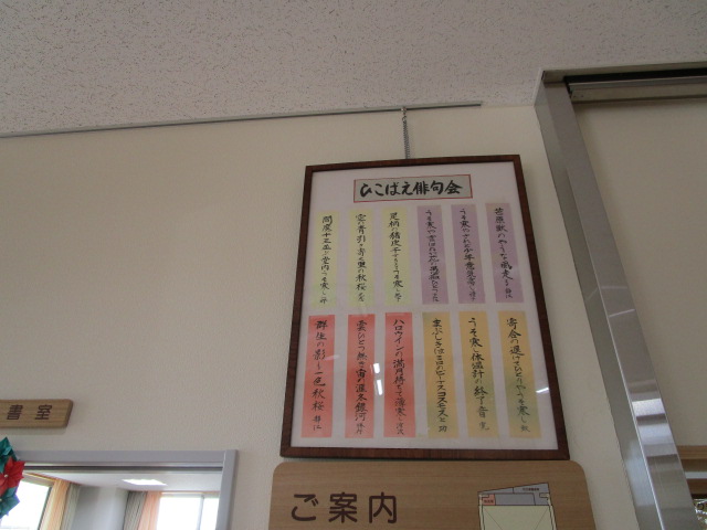 展示202012-5