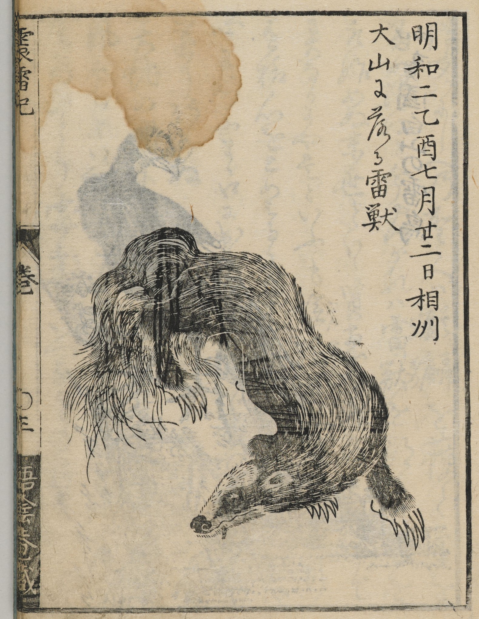 雷獣