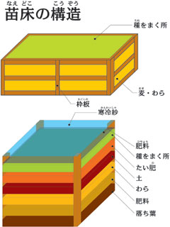 苗床の構造