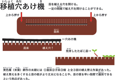 移植穴あけの構造