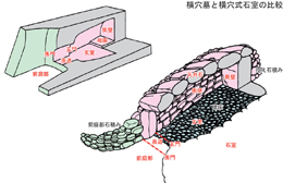 横穴式石室と横穴墓の比較