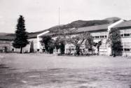 東小学校