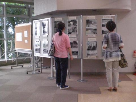 展示の様子