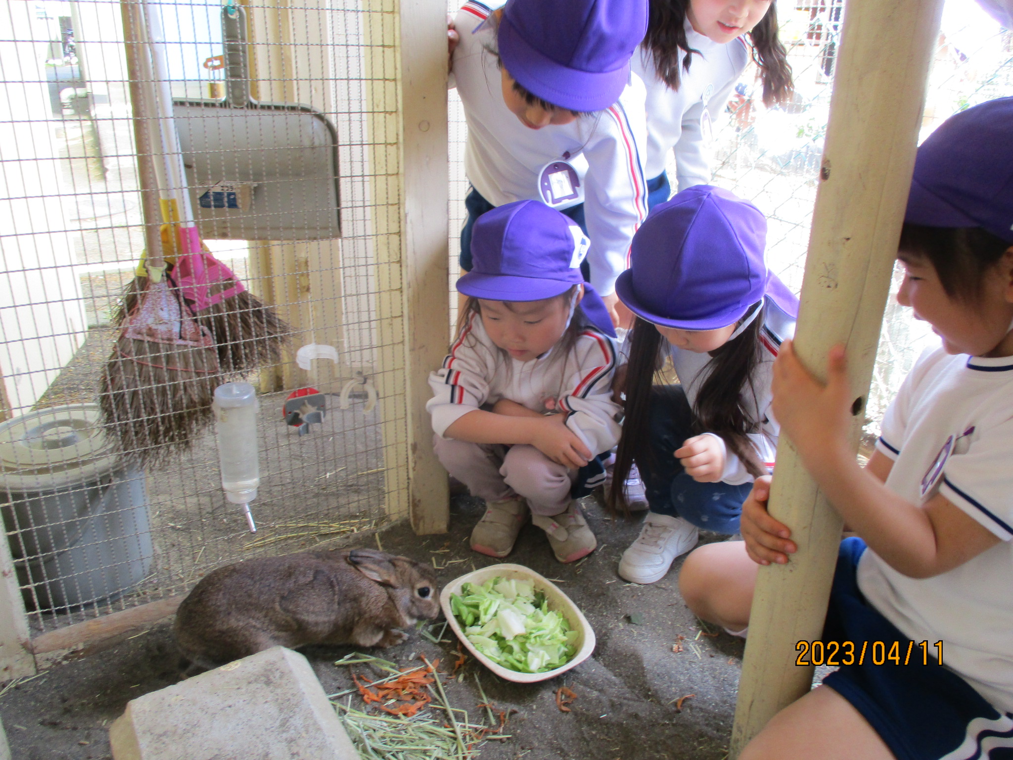 飼育当番