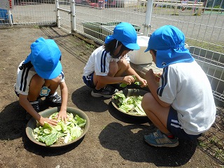西幼稚園