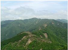 山