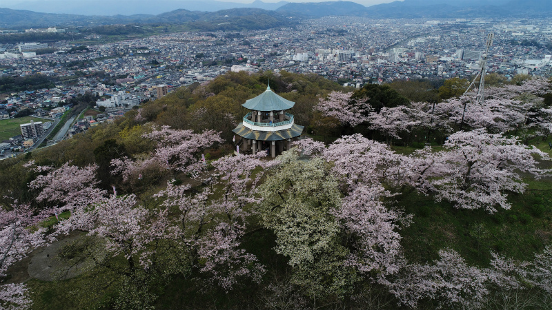 権現山