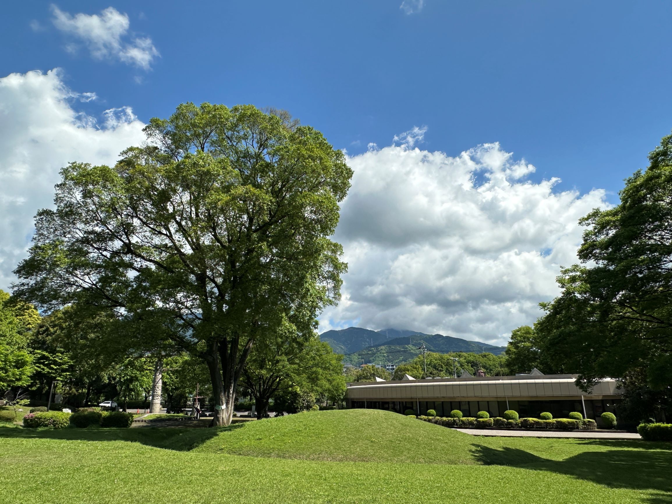 古墳公園と丹沢