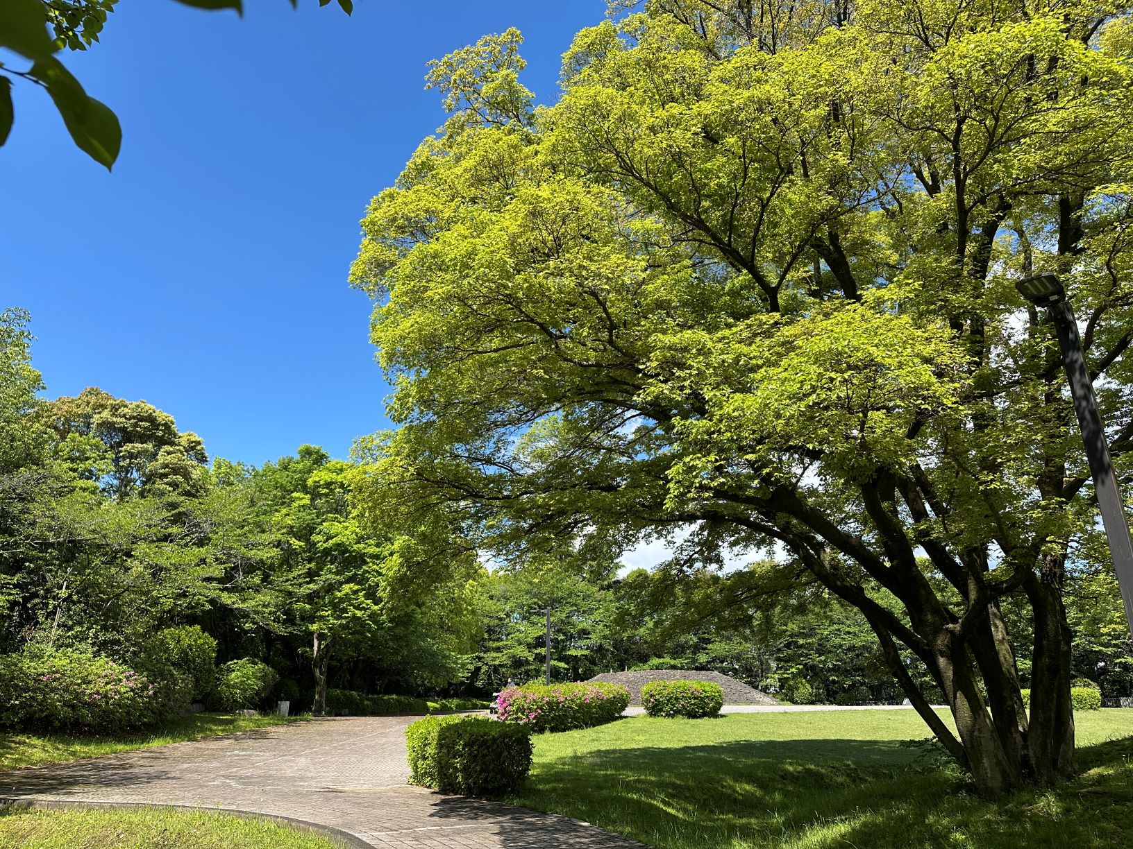 古墳公園