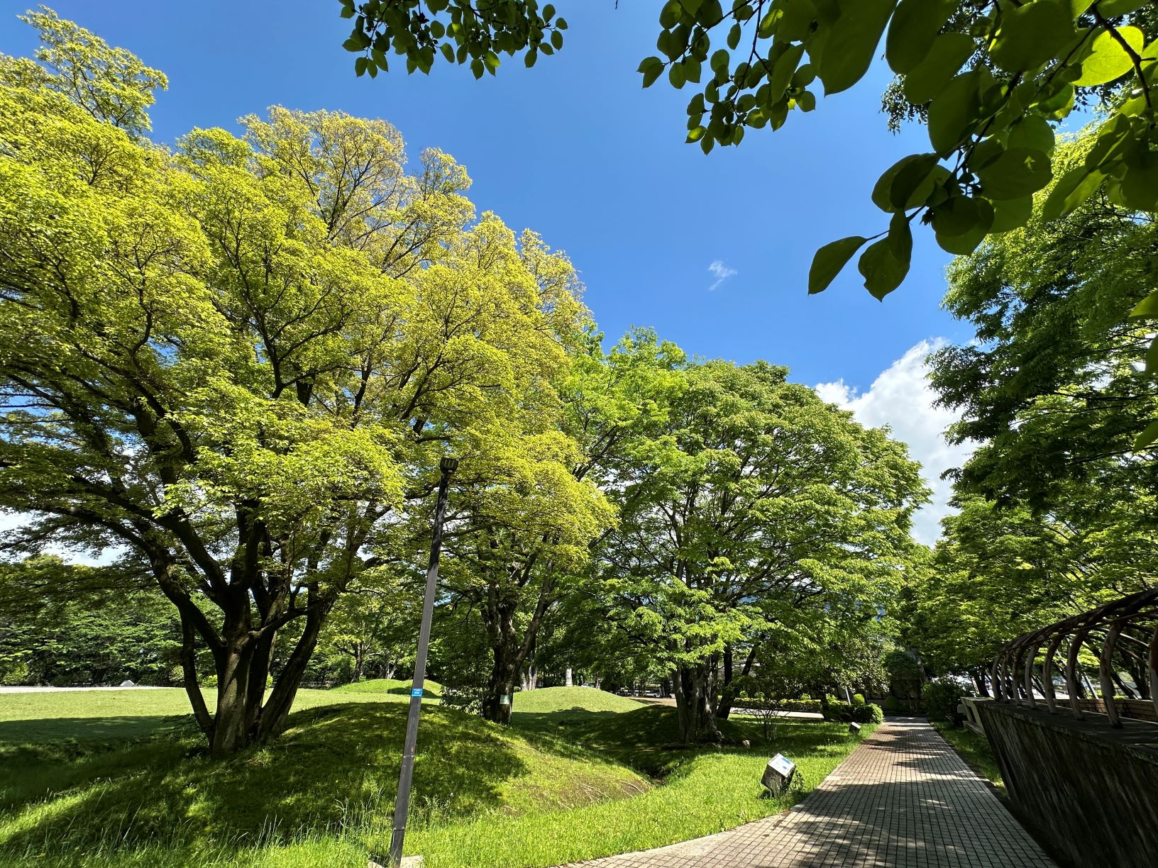 古墳公園