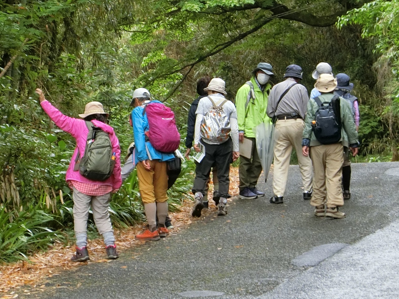 写真：春の植物を楽しむ自然観察会１