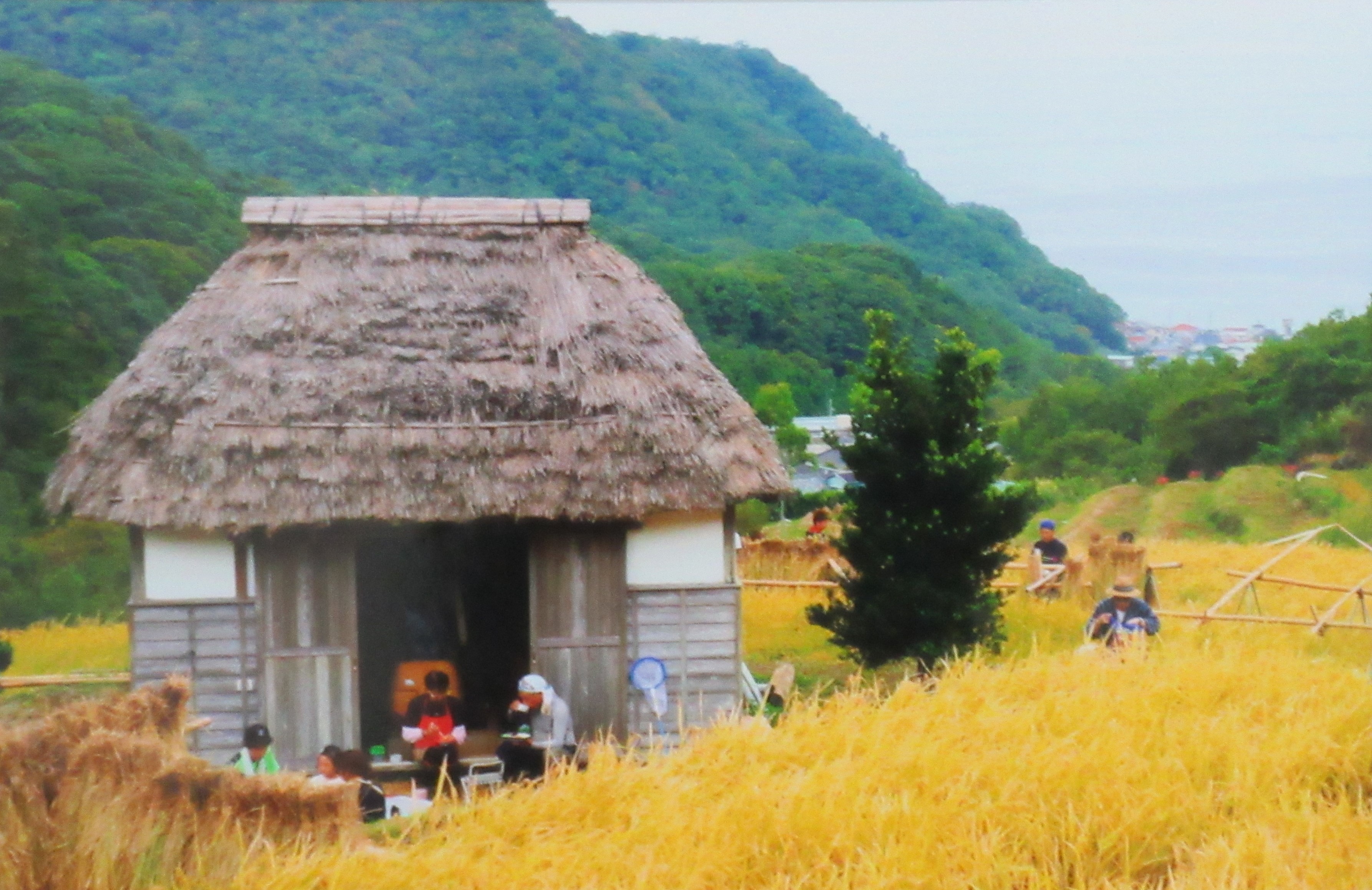 写真の部市展大賞作品