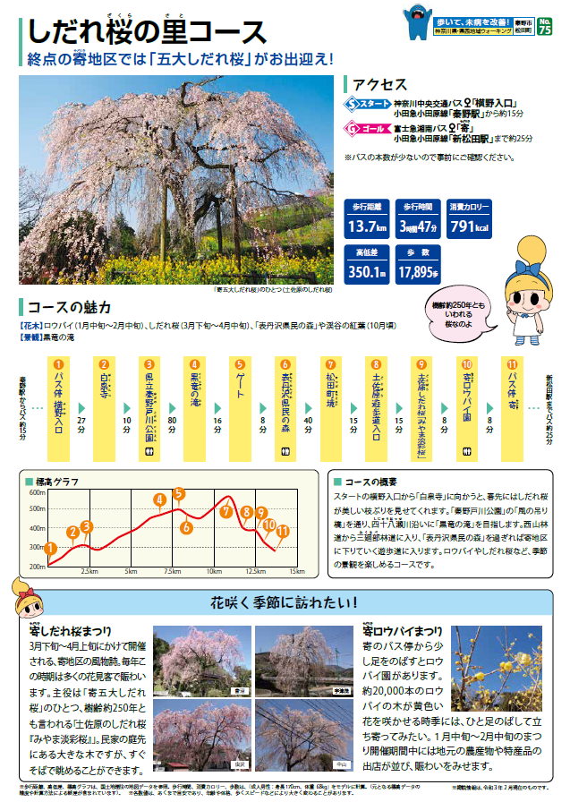 しだれ桜の里コースチラシ