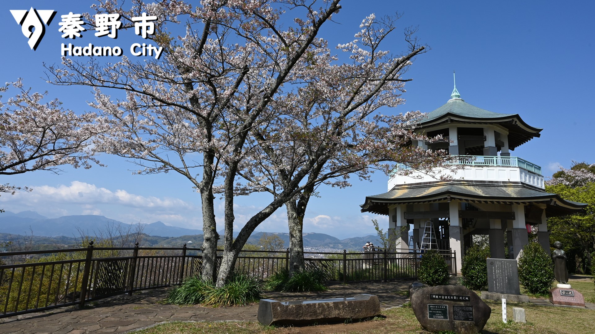 弘法山公園の桜写真