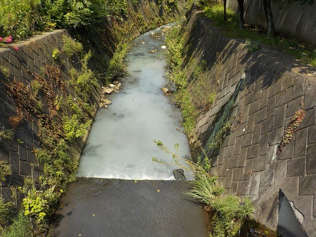 流出により白濁した河川の写真