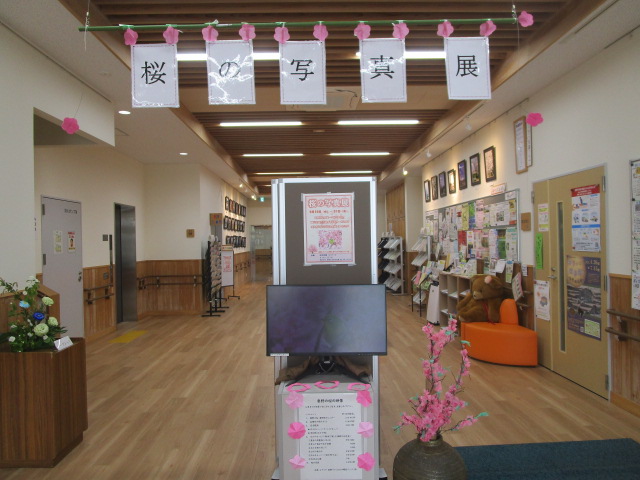 桜写真展202４05-1