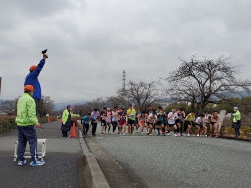 秦野市駅伝競走大会スタートの写真