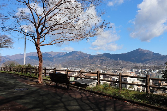 立野緑地