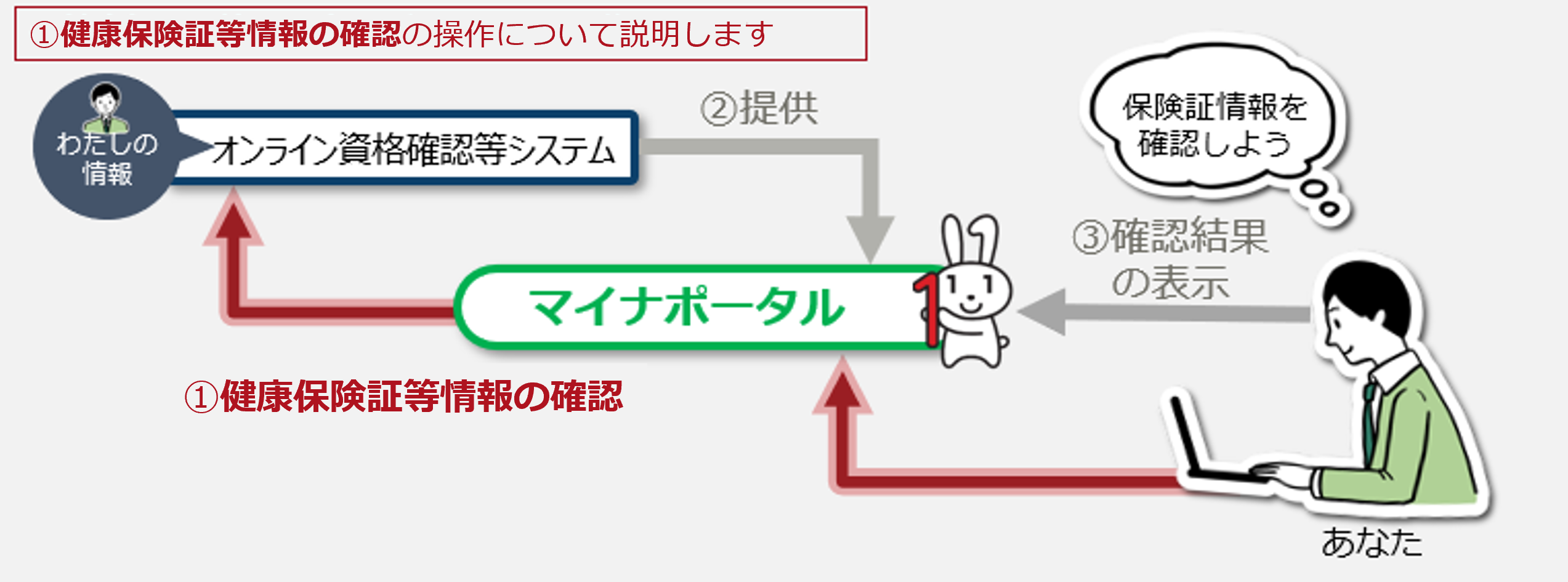 健康保険証情報の確認