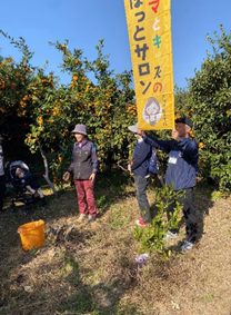 みかん狩り