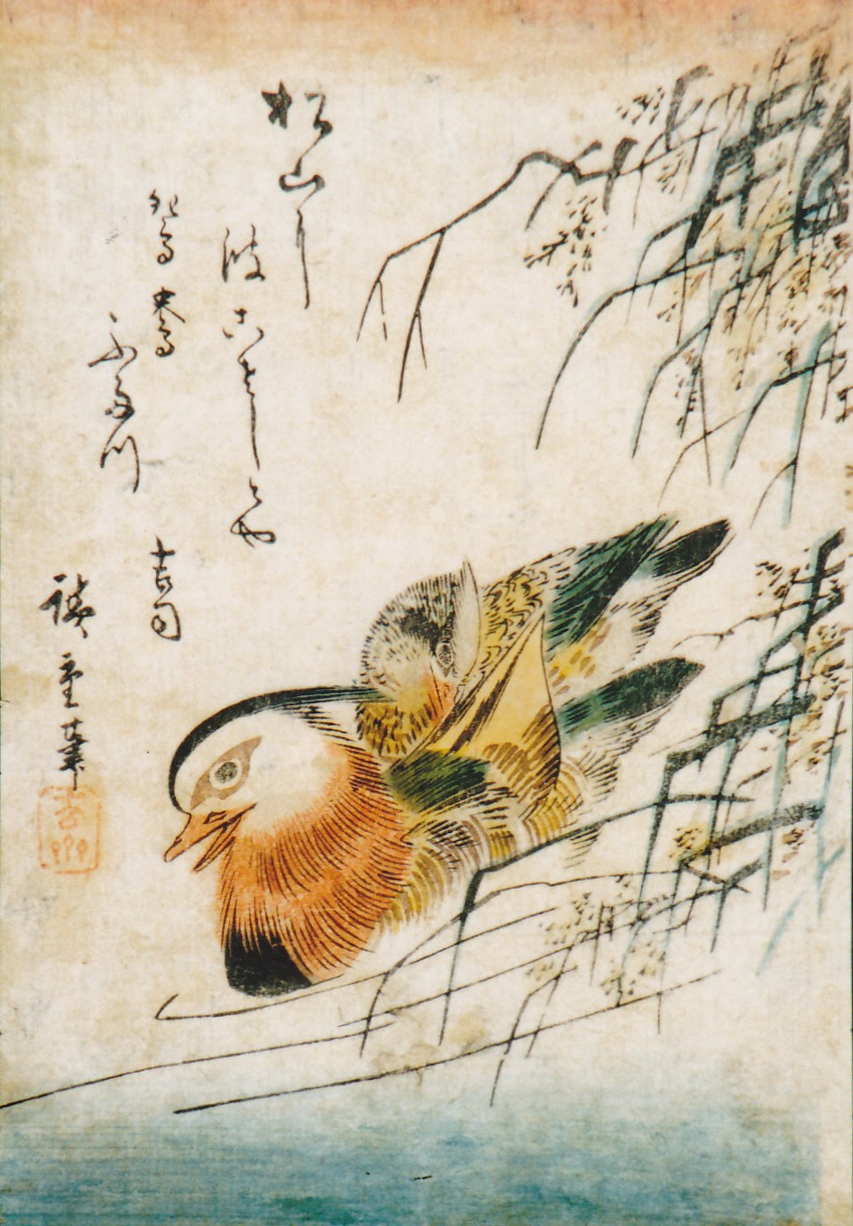 鴛鴦（おしどり）