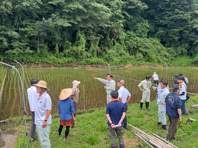 圃場視察写真