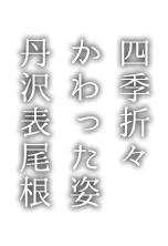 四季折々かわった姿丹沢表尾根